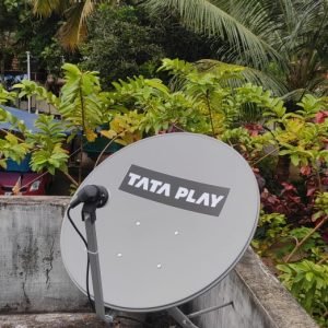 WhatsApp Image 2024-11-12 at 7.21.28 PM