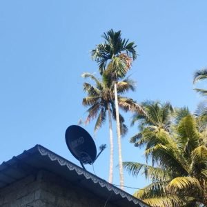 WhatsApp Image 2024-11-12 at 7.21.29 PM